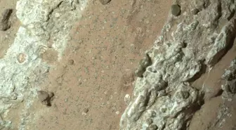 NASA, Mars'ta yaşam izi bulunduğunu açıkladı