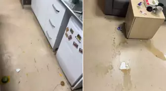 Baba ve oğlu doktoru tost makinesiyle darbetti