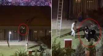 Güvenlik görevlileri konseri çatıdan izleyen genci aşağı attı