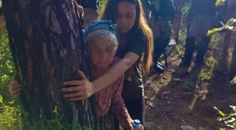 Ağaca sarıldığı fotoğrafla tanınmıştı! Zehra Nine yaşamını yitirdi