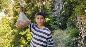 Ormandan toplayıp satıyor, kilosu 5 bin lira: Altın madenini bulduk