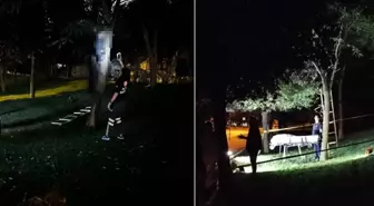 İstanbul'un göbeğinde korkunç olay! Ağaca asılı bulundu