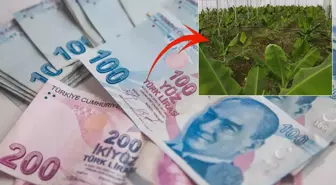 2019'da çektiği kredi ile hayatı değişti: Aylık 640 bin TL kazanıyorum