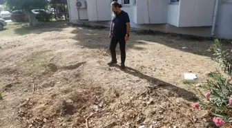 Tam 14 metre uzunluğunda! 4 yıl boyunca toprak altında kaldı, şimdi yeniden çıkarılacak