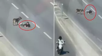Ana yolun sağ şeridinde sürünerek ilerledi