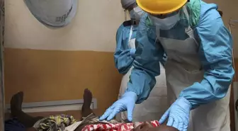 Nijerya'da Lassa Ateşi sebebiyle ölümler artıyor