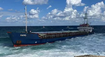 Kocaeli'nde kuru yük gemisi karaya oturdu, 7 mürettebat mahsur kaldı