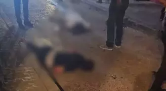 Ordu'da esrarengiz olay: İki genç 5. kattan düşerek öldü