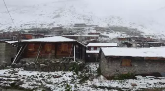 Kar erken geldi, çobanlar sürülerini güvenli bölgelere indiriyor