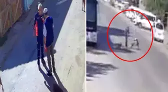'Köpeklerimi sen mi şikayet ettin' diyerek yaşlı adamı tekme tokat dövdü