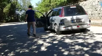 Burada araçlar kendi kendine yokuş çıkıyor! Gizemli yolun sırrı çözüldü