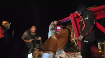 Yaylada içinde 15 kişi olan araçların üzerine çığ düştü