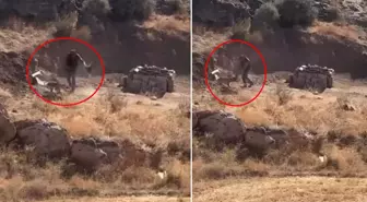 4 aylık köpeği sopayla öldüresiye dövdü! Valilik görüntüler sonrası harekete geçti