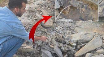 Hakkari'de gizemli vadi! İnsanlara şifa, hayvanlara ölüm getiriyor