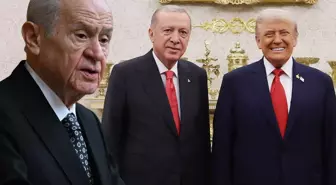 Erdoğan-Trump görüşmesine MHP'den ilk yorum