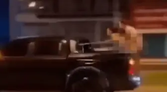 Hakeret halindeki kamyonetin arkasında ilişkiye girdiler