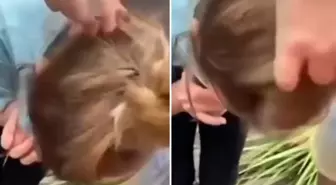 Küçük çocuğun saçının içinden sincap çıktı