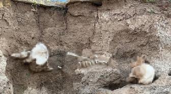 Yozgat'ta toprak altından insan kemikleri çıktı