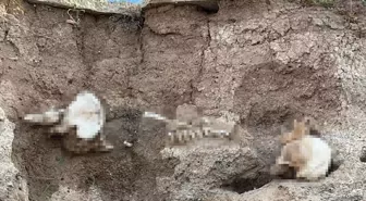 Yozgat'ta toprak altından insan kemikleri çıktı