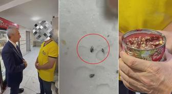 Sineğe çörek otu savunması! Mide bulandıran görüntüler belediye başkanını çıldırttı