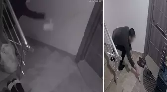 Komşularını canından bezdirdi