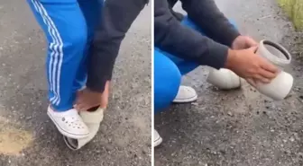 Boruya sıkışan kirpiyi böyle kurtardılar