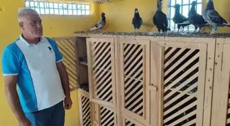6 aydır arıyor! Ödülü 100 bin liraya çıkardı