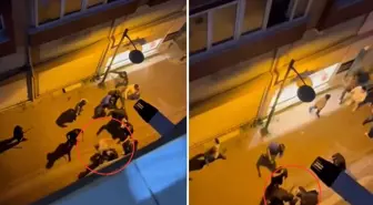 Aralarına aldıkları adamı acımadan dövdüler! O anlar kameralarda