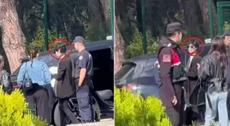 İfadeye götürülen Birce Akalay'dan ilk görüntü
