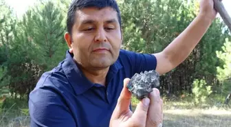 Mantar toplarken göktaşı buldu