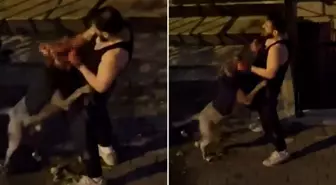 Pitbull cinsi köpek sahibini ısırdı, adamın yardım çığlıkları sokağı inletti