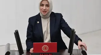 Özlem Zengin'den dikkat çeken çağrı: İlginç bir önerim var, Yahudi Soykırımı filmleri yasaklansın
