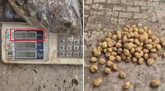 Ahlaksızlıkta son nokta: 22 kiloluk çuvaldan 13 kilo patates çıktı