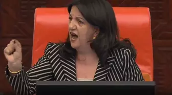 Pervin Buldan'ın isim vererek teşhir ettiği vekil: Bana cinsiyetçi mesaj gönderdi