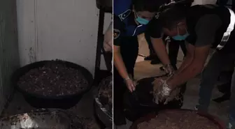 Gastronomi şehrinde mide bulandıran görüntüler! Düğünlere ve lokantalara vereceklerdi