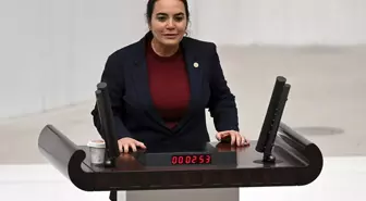 İYİ Partili Türkeş, Kurtulmuş'un Kürtçe konuşmasına tahammül edemedi! Yaptığı çağrı skandal
