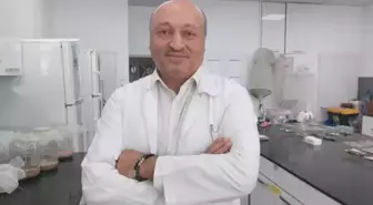 Türkiye'yi saran kokarca kabusu için korkutan değerlendirme: Yok etme şansımız yok