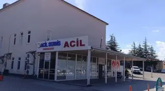 Kahramanmaraş'ta arı sokması sonucu 9 yaşındaki kız çocuğu hayatını kaybetti