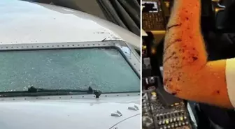 Yolcu uçağına meteor çarptı, pilot kanlar içinde kaldı