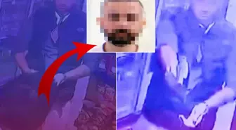 İşte Edremit canisinin en net fotoğrafı! İlk hedefi bakın kimmiş