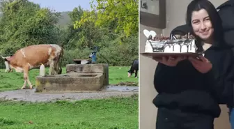 Hasret'in cesedi su kuyusunda bulundu! Şüpheli 5 kişinin katili çıktı