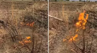 Vatandaş paylaştığı video ile yetkililere seslendi: İlimizin kurtuluşu olabilir