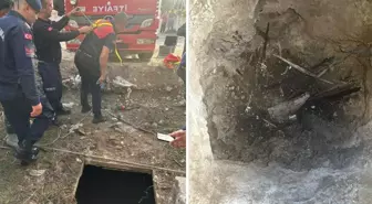 Nar toplamak isterken canından oluyordu! Kuyuya düşen 5 yaşındaki çocuk kurtarıldı