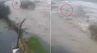 Sele kapılan Bülent Kaptanoğlu'nun son anları kamerada! Ne yapsa kurtulamadı