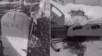 Hastanede skandal! Doktorun elinden kayan bebek öldü