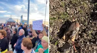 Paşalimanı Adası'nda keklik avına gelen avcılar protesto edildi