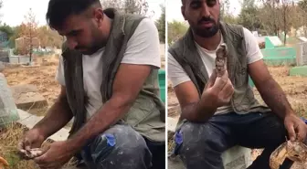 Mezarlıkta kan donduran manzara! Bulur bulmaz yaktı