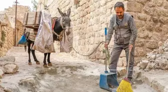 Yıllardır sokak sokak geziyorlardı! Kadrolu eşekler artık emekli olacak