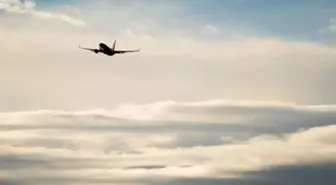 Kenya'da 12 kişiyi taşıyan uçak düştü