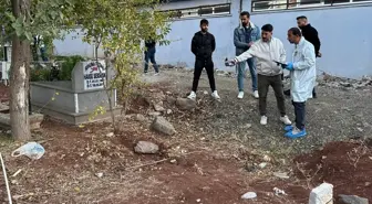 Eşinin kabrini ziyarete giden şahıs, mezarda korkunç manzarayla karşılaştı